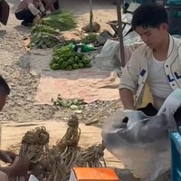 Menjadi aktor hanyalah sebuah profesi. Jika tidak ada pekerjaan akting, aku akan mencari cara lain untuk mencari nafkah. Selama aku bisa mencari nafkah dengan jujur melalui kerja keras aku sendiri, tidak ada hambatan yang tidak bisa aku atasi, kata Xu Peng. Meskipun profesiku berubah, aku tetap orang yang sama, tambahnya. Foto: Weibo