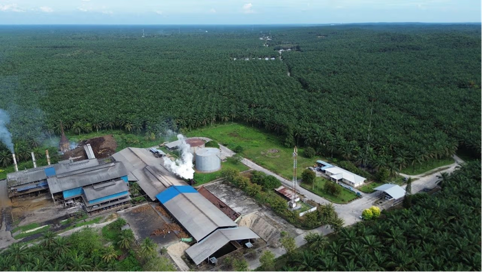 Agrinas Palma Nusantara Bukukan Surplus Operasional Rp 2,86 T pada 2025
