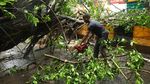 Cuaca Ekstrem Picu Banjir dan Pohon Tumbang di New Delhi India