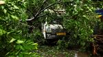 Cuaca Ekstrem Picu Banjir dan Pohon Tumbang di New Delhi India