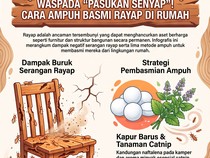 Infografis: Rayap Bisa Bikin Rumah Cepat Rusak, Basmi dengan Cara Ini