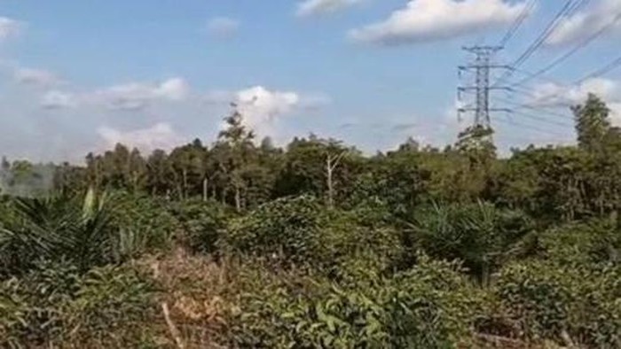 ‎Foto tampak tiang SUTET dekat dengan karhutla. (BPBD Kotim)