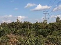 Sudah 5 Hari Karhutla di Desa Eka Bahurui Kotim, Api Ancam Tiang SUTET