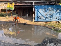 Protes Jalan Rusak, Warga Godo Pati Tebar Ikan di Kubangan