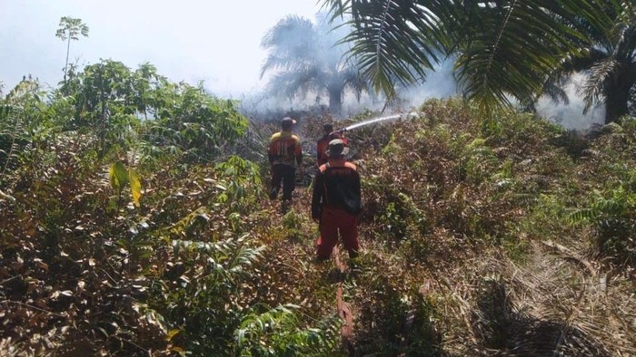 Karhutla di Kotawaringin Barat, Kamis (9/7/2026). (dok BPBD Kobar)