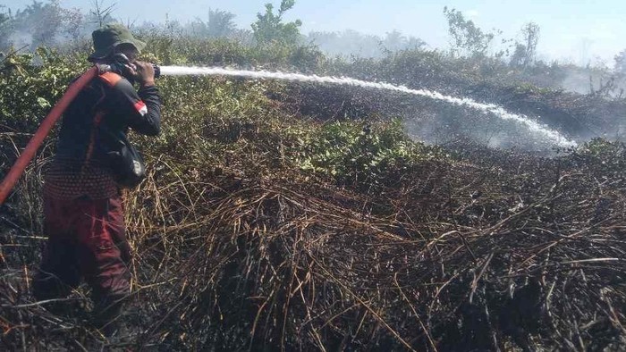Karhutla di Kotawaringin Barat, Kamis (9/7/2026). (dok BPBD Kobar)