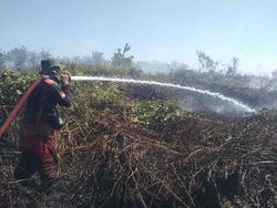 Karhutla di Kobar Kalteng, 8 Hektar Lahan Hangus Terbakar dalam 2 Hari