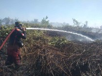 Karhutla di Kobar Kalteng, 8 Hektar Lahan Hangus Terbakar dalam 2 Hari