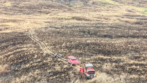 Tim Gabungan Kemenhut melakukan pemadamam kebakaran di padang savana Taman Nasional (TN) Tambora, Kamis (9/7/2026). (Dok. Kemenhut).