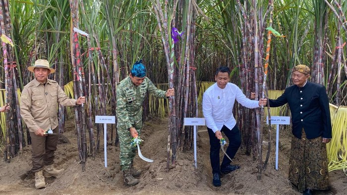 Kepala Staf Angkatan Udara (KASAU), Marsekal TNI M. Tonny Harjono saat kunjungan di Jember