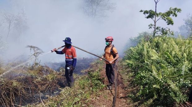 Lahan gambut di Sungai Putri, Ketapang terbakar seluas kurang lebih 4 hektar. (Pusdalops BPBD Ketapang)