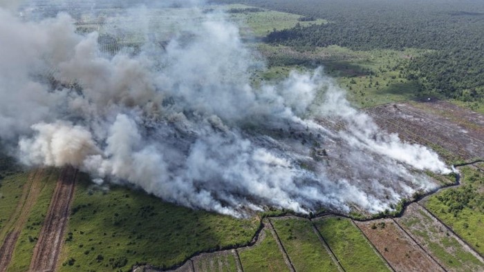 Lahan gambut di Sungai Putri, Ketapang terbakar seluas kurang lebih 4 hektar. (Pusdalops BPBD Ketapang)