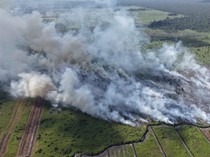 Karhutla 4 Hektar di Ketapang, Pemadaman dari Darat-Udara Masih Berlangsung