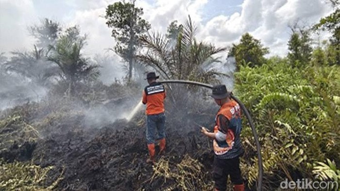 ‎Petugas melakukan pemadaman karhutla di Tumbang Nusa. (BPBD Pulang Pisau)