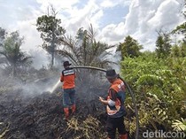 Antisipasi Karhutla, Bupati Pulpis Minta Sumur Bor Permanen ke Menhut