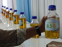 Kata Gaikindo Soal Keamanan Mesin Diesel Tenggak B50