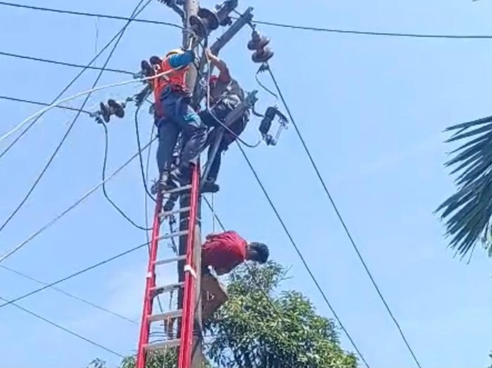 Proses evakuasi pria tersetrum dan bergelantungan di tiang listrik di Pontianak
