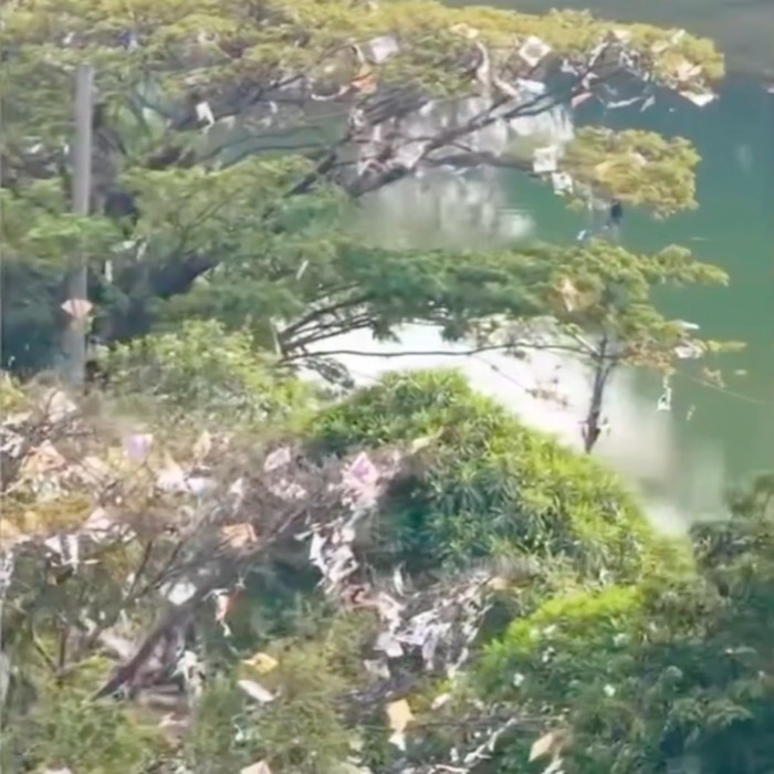 Pucuk pepohonan di tepi Kali Sunter, Jakut, dipenuhi sampah layang-layang. Kertas layangan tersebut terlihat banyak tergantung di dahan dan dedaunan.