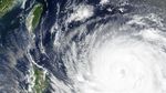 Warga Berburu Bahan Pangan Antisipasi Taifun Bavi Taiwan