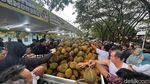 Serunya War Durian Jemongko di Pontianak, Ada yang Rela Datang dari Luar Kota