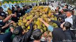 Serunya War Durian Jemongko di Pontianak, Ada yang Rela Datang dari Luar Kota