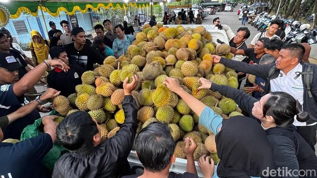 War durian jemongko di Pontianak War durian jemongko di Pontianak.