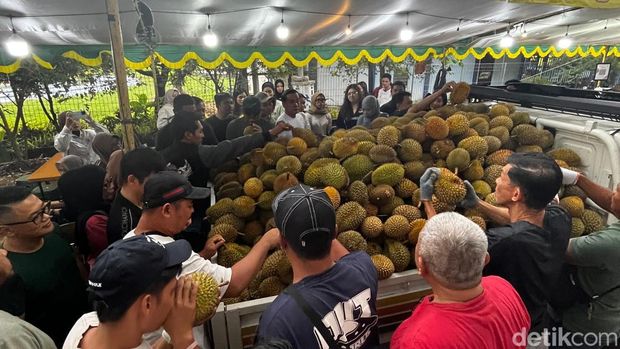 War durian jemongko di Pontianak War durian jemongko di Pontianak.