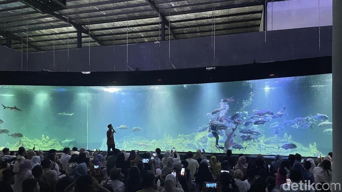 Akuarium Indonesia di Pangandaran