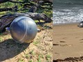 Bola Misterius di Pantai Australia Ternyata Sampah Antariksa