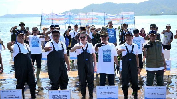 Penanaman mangrove PT Freeport Indonesia di Desa Labuhan Alas, Kecamatan Alas, Sumbawa, NTB