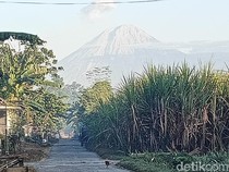 Gunung Semeru 5 Kali Erupsi, Lava Pijar Meluncur 1,5 Km ke Arah Tenggara