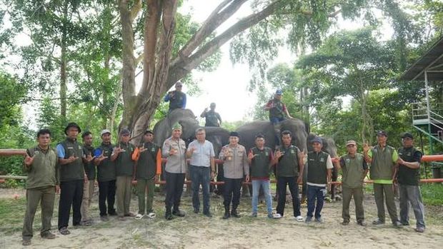 Kapolda Riau Irjen Pol Herry Heryawan mengunjungi Pusat Latih Gajah (PLG) Minas, Kabupaten Siak Kapolda Riau Irjen Pol Herry Heryawan mengunjungi Pusat Latih Gajah (PLG) Minas, Kabupaten Siak, Jumat (10/7/2026).