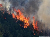 3.200 Hektar Lahan Terbakar di Spanyol, 12 Tewas-23 Orang Hilang
