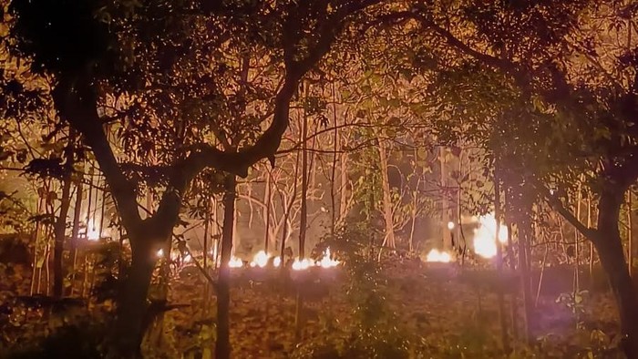 Kebakaran hutan rakyat di Desa Tatung, Kecamatan Balong, Ponorogo