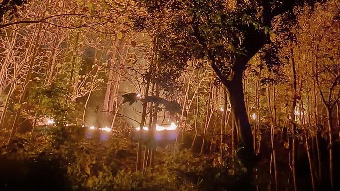 Kebakaran hutan rakyat di Desa Tatung, Kecamatan Balong, Ponorogo