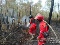 Karhutla 2 Hektare di Lahan Gambut OKI Padam
