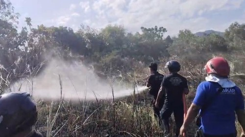 Petugas Damkarmat Klungkung melakukan pemadaman api di lahan bekas galian C Desa Gunaksa, Kecamatan Dawan, Jumat (10/7/2026). (Dok. Damkarmat Klungkung)