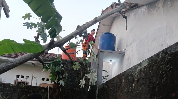 Pohon tumbang menimpa rumah di Bogor Barat, Kota Bogor. (dok istimewa)