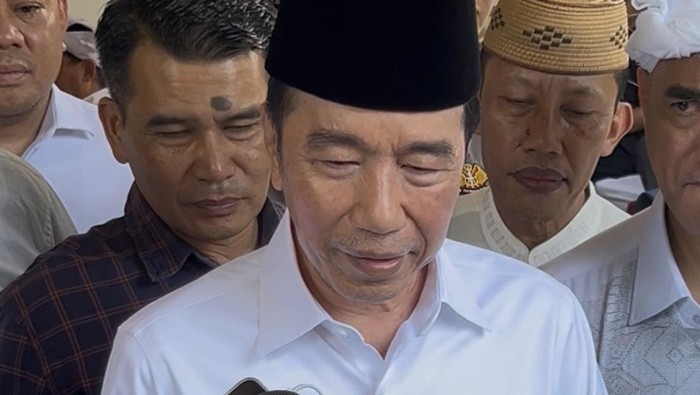 Presiden ke-7 Joko Widodo (Adhfar/detikcom)
