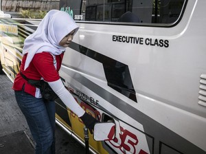Fotosintesis Ekonomi: Ketika Solar Kita Tumbuh di Kebun