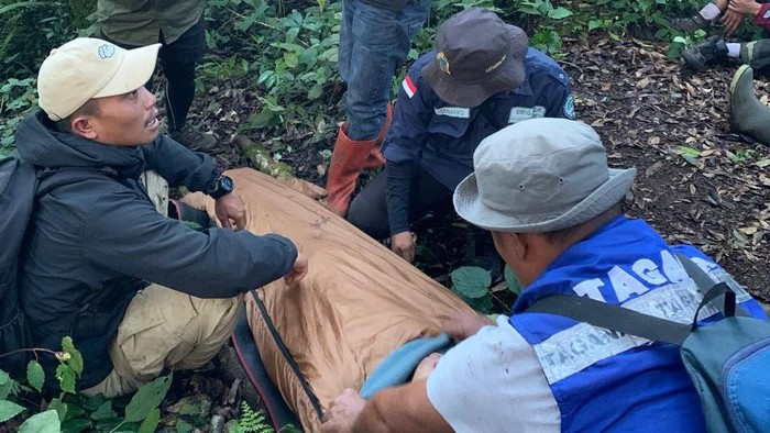 Tim Brigade bersama relawan mengevakuasi pendaki asal Palembang yang tersesat di Gunung Dempo