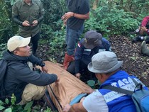 Pendaki Tersesat di Gunung Dempo Pagar Alam Usai Terpisah dari Rombongan