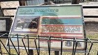 Identitas Satwa Foto dari Vannisa Paramitha Junaidi