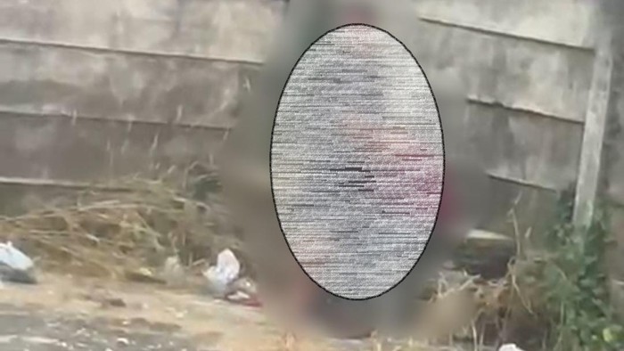 Video pasangan sejoli mesum di belakang Pasar Buah Jakabaring, Palembang