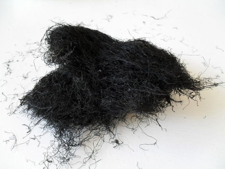 Dianggap Mirip Rambut Kemaluan, Ini 5 Fakta Fay Coy yang Lagi Viral!
