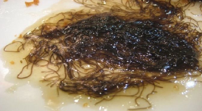 Dianggap Mirip Rambut Kemaluan, Ini 5 Fakta Fay Coy yang Lagi Viral!