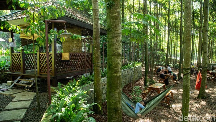 Warga beraktivitas di Kopi Tubing, Bogor, Sabtu, (11/7/2026). Konsep wisata alam dan restoran tersebut terlihat melalui beragam fasilitas bermain yang memungkinkan anak-anak beraktivitas dengan leluasa, sementara orang tua dapat bersantai menikmati suasana sekitar.