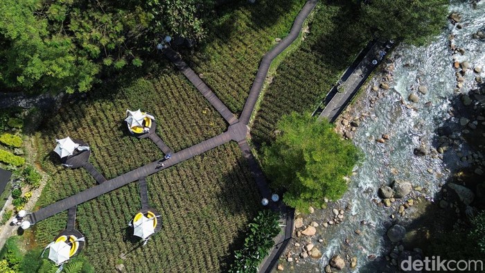 Warga beraktivitas di Kopi Tubing, Bogor, Sabtu, (11/7/2026). Konsep wisata alam dan restoran tersebut terlihat melalui beragam fasilitas bermain yang memungkinkan anak-anak beraktivitas dengan leluasa, sementara orang tua dapat bersantai menikmati suasana sekitar.