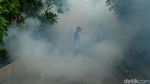 Fogging Dilakukan, Warga Tingkatkan Kewaspadaan DBD saat Musim Kemarau