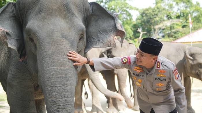 Kapolda Riau Irjen Herry Heryawan mengunjungi PLG Minas, tegaskan dukungan terhadap Inpres dalam penyelamatan gajah Sumatra, Jumat (10/7/2026).
